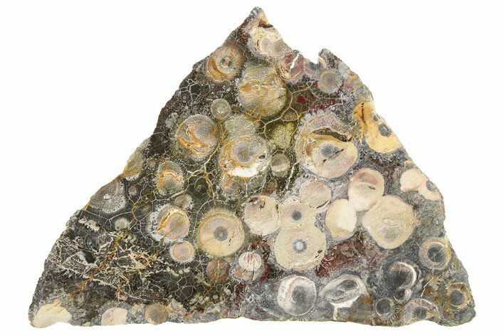 Polished Bird's Eye Jasper (Rhyolite) Slab - Mexico #279656